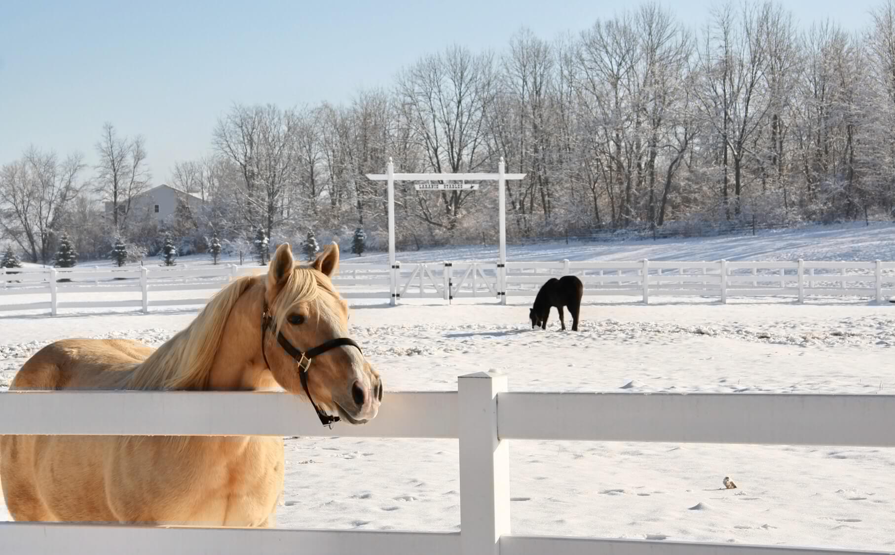 3-rail-post-rail-vinyl-fence-1