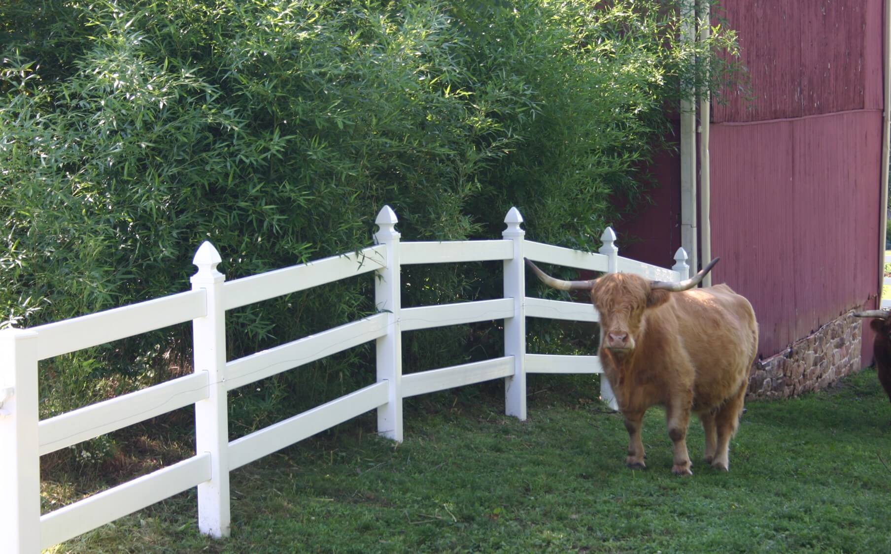 3-rail-post-rail-vinyl-fence-4